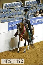 14r9_1492 proof