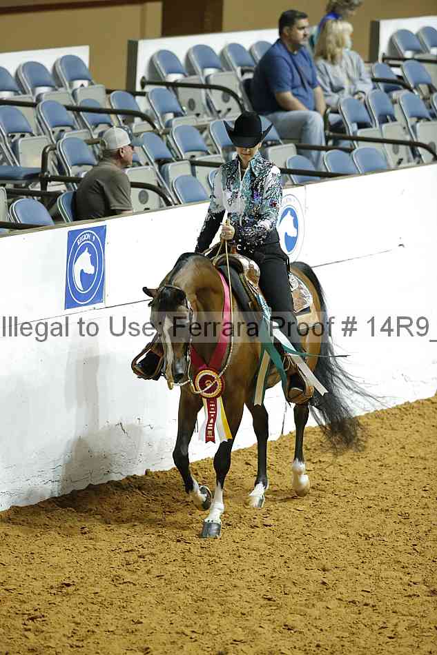 Proof 14r9_1494