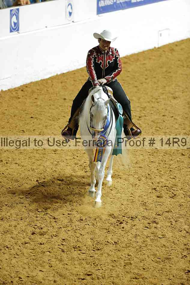 Proof 14r9_1497