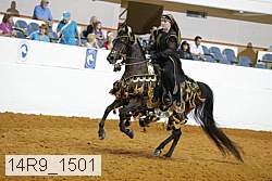 14r9_1501 proof