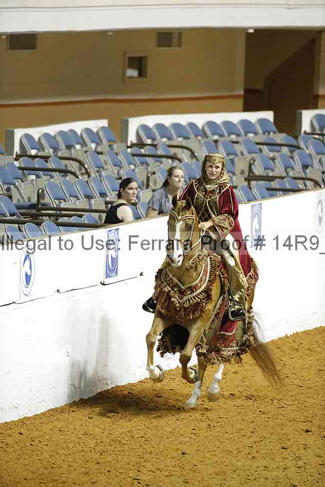 Proof 14r9_1506