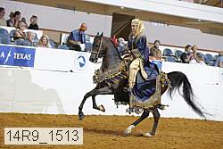 14r9_1513 proof