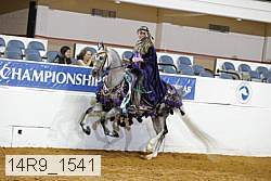 14r9_1541 proof