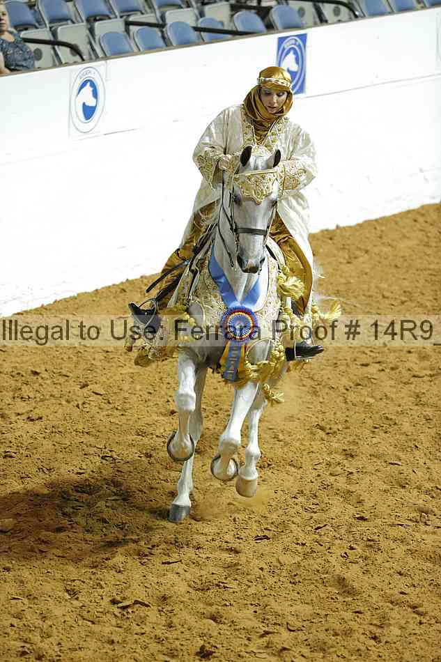 Proof 14r9_1555