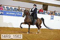 14r9_1562 proof