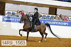 14r9_1563 proof