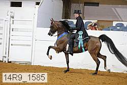 14r9_1585 proof