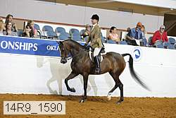14r9_1590 proof