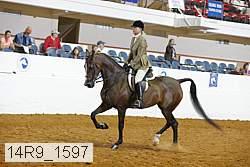 14r9_1597 proof