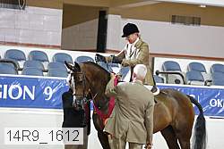 14r9_1612 proof