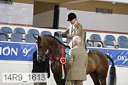 14r9_1613 proof