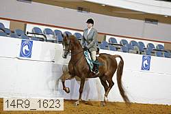 14r9_1623 proof