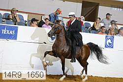14r9_1650 proof