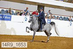 14r9_1653 proof