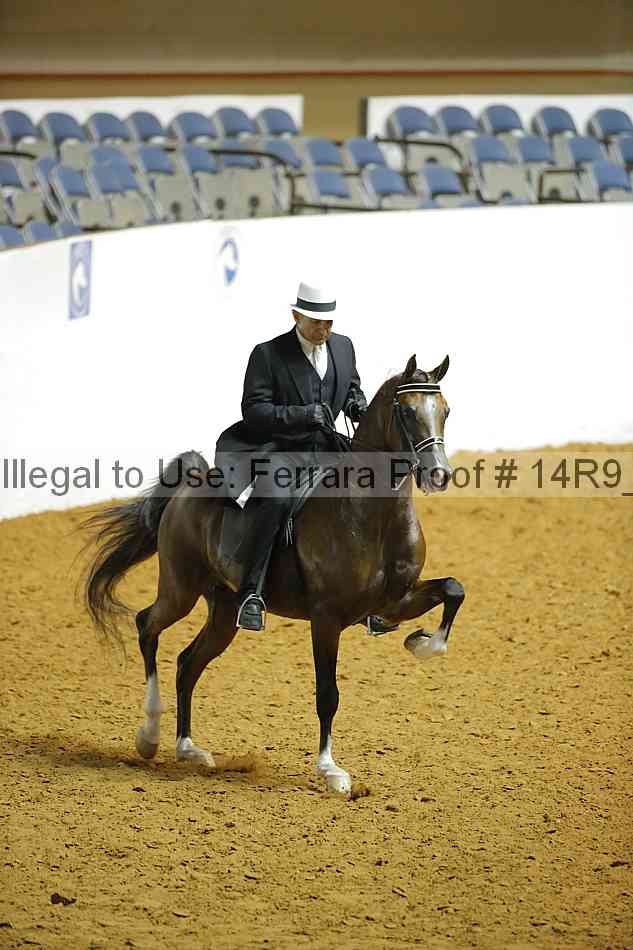 Proof 14r9_1660