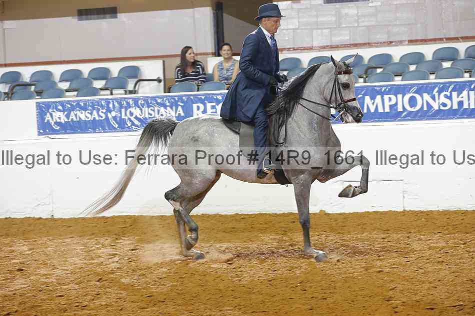 Proof 14r9_1661