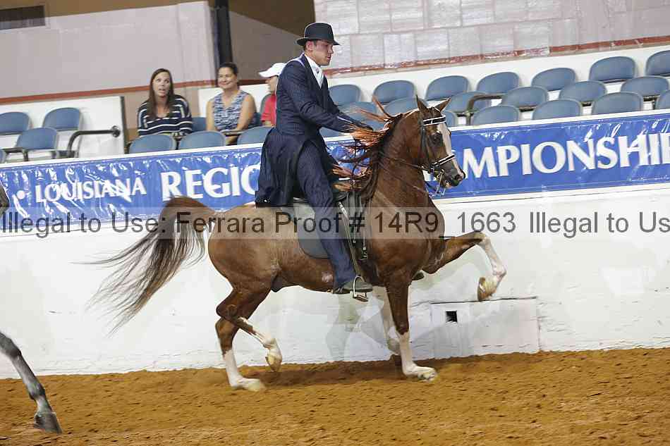 Proof 14r9_1663