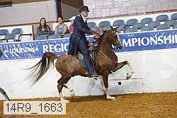 14r9_1663 proof