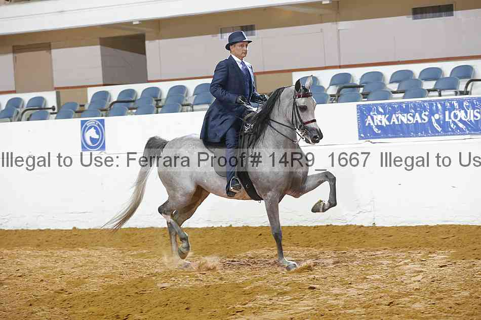 Proof 14r9_1667
