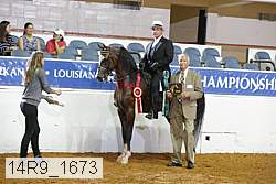 14r9_1673 proof