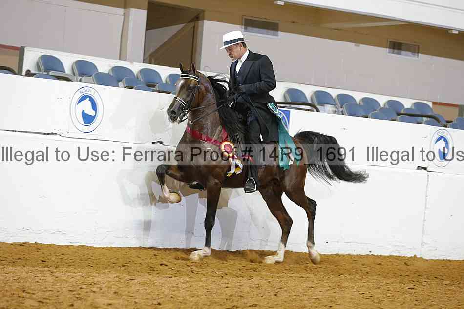 Proof 14r9_1691
