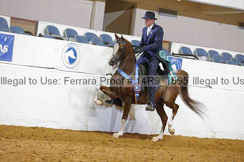 Proof 14r9_1695