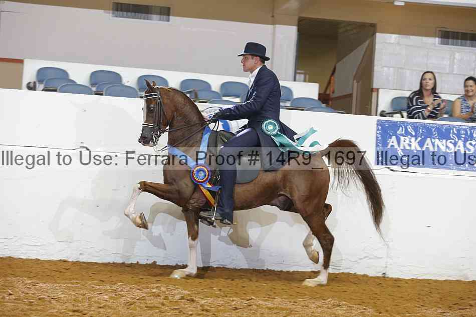 Proof 14r9_1697