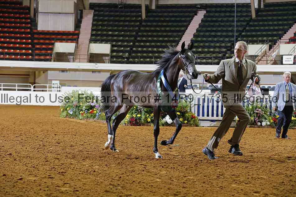Proof 14r9_1735