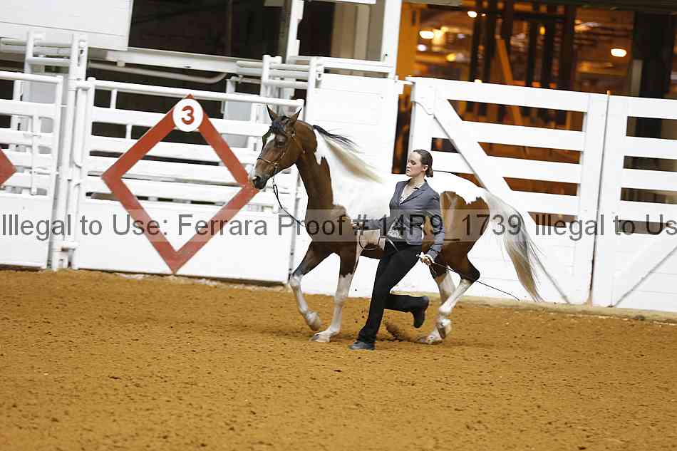 Proof 14r9_1739