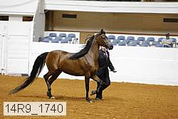 14r9_1740 proof