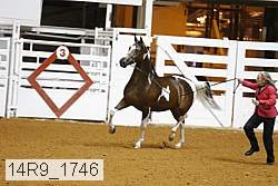 14r9_1746 proof