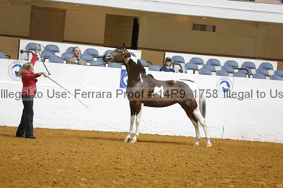 Proof 14r9_1758