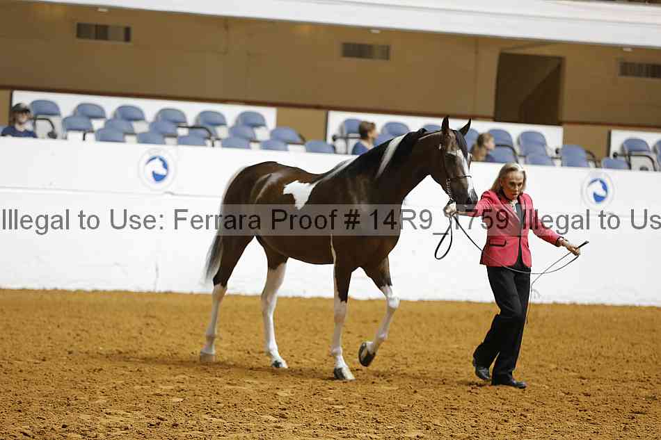 Proof 14r9_1759