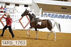 14r9_1763 proof