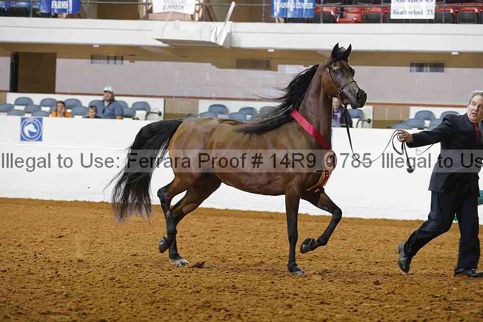 Proof 14r9_1785