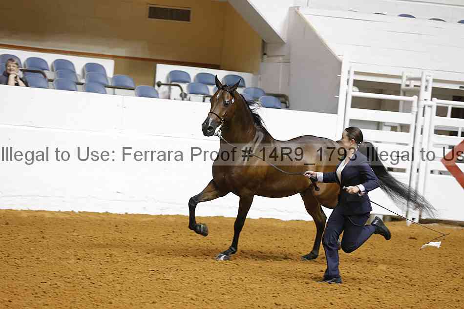 Proof 14r9_1793