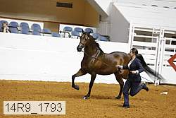 14r9_1793 proof