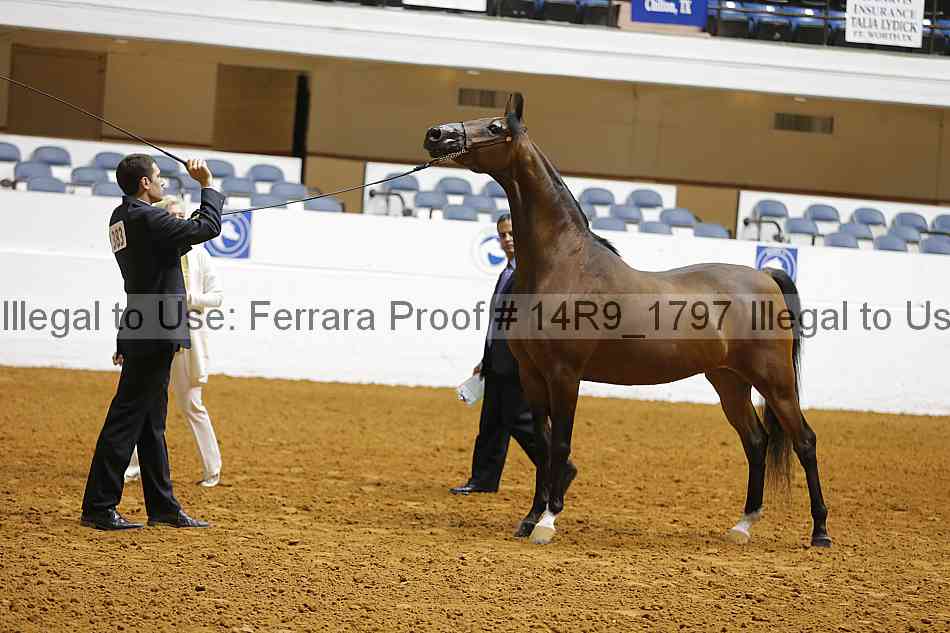 Proof 14r9_1797