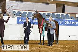 14r9_1804 proof