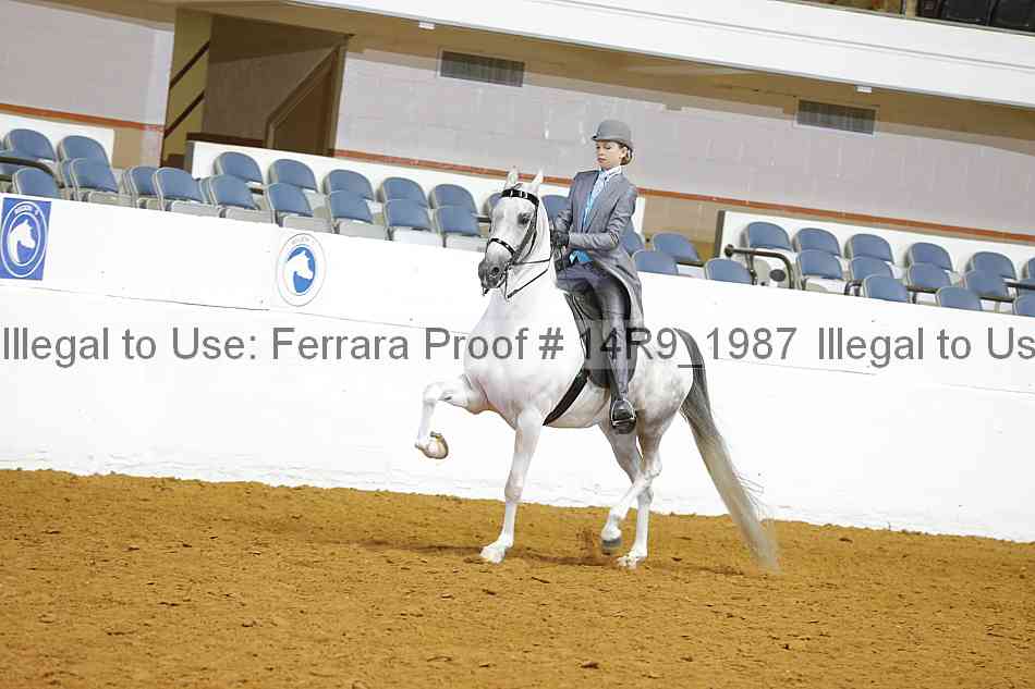 Proof 14r9_1987