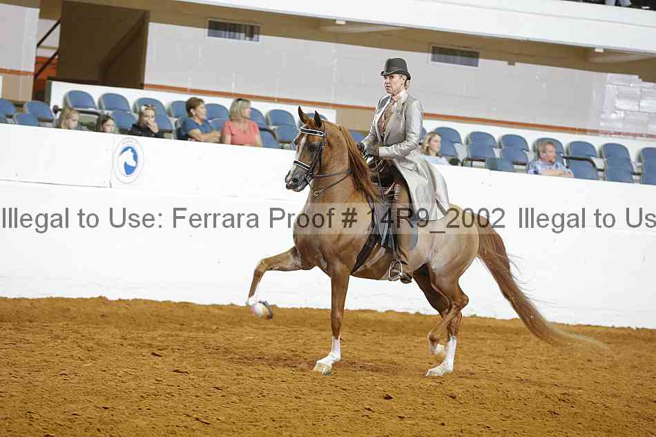 Proof 14r9_2002