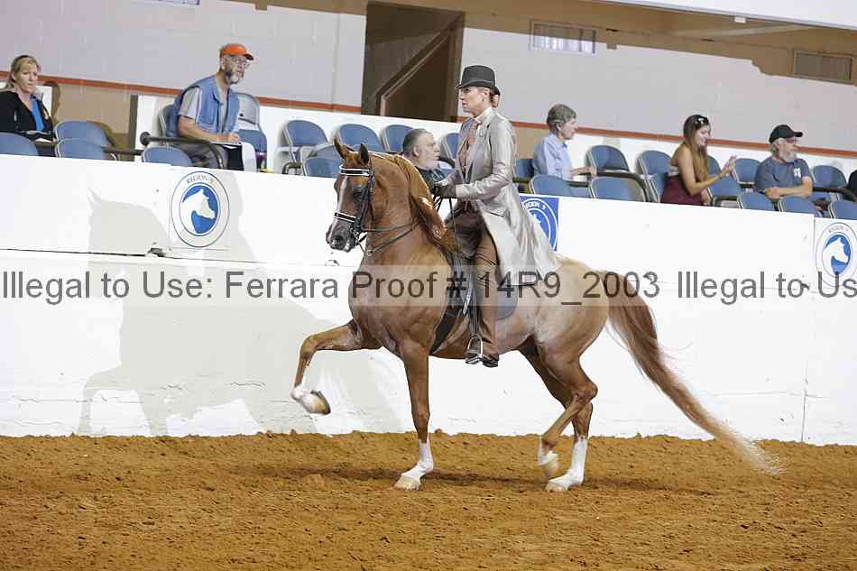 Proof 14r9_2003
