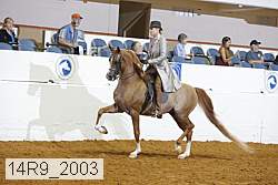 14r9_2003 proof