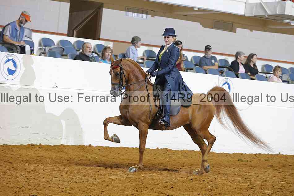 Proof 14r9_2004