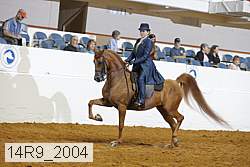 14r9_2004 proof