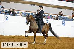 14r9_2006 proof
