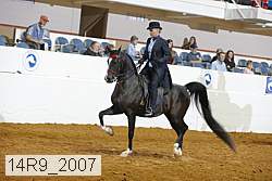 14r9_2007 proof