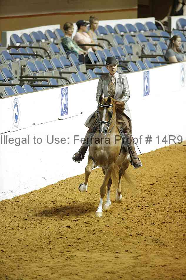 Proof 14r9_2010