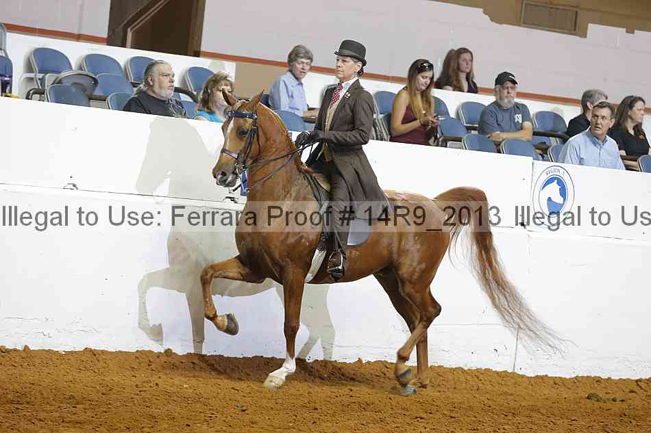 Proof 14r9_2013