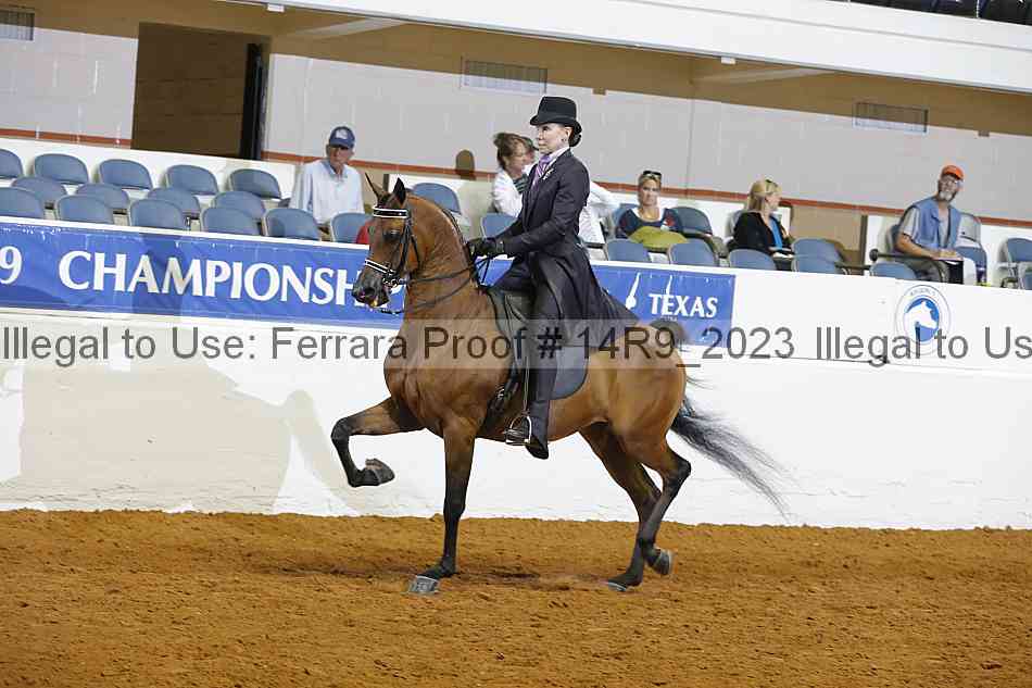 Proof 14r9_2023